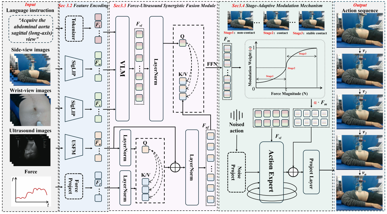 ForceU-VLA: A Force-Aware Vision–Language–Action Model for Embodied Ultrasound Scanning