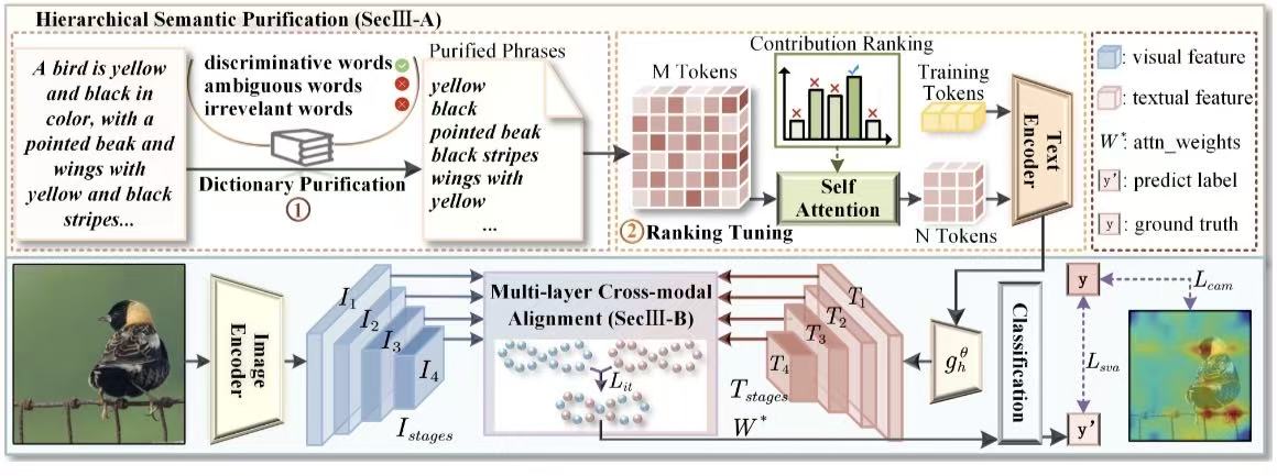 MitigatingTextual Noise in Multimodal FGVC viaHierarchical Semantic Purification andMulti-Stage Alignment